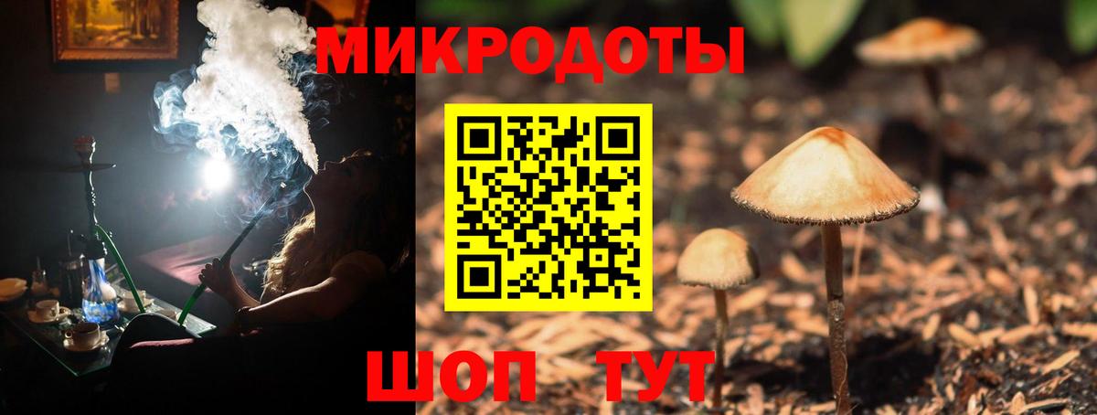 Галлюциногенные грибы Psilocybine cubensis Гулькевичи