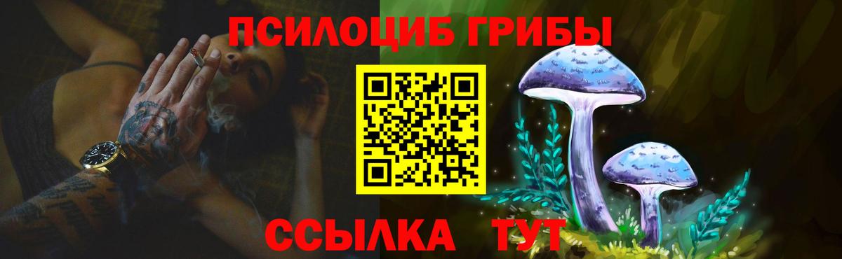 Псилоцибиновые грибы Psilocybine cubensis  Вход с VPN  Гулькевичи 